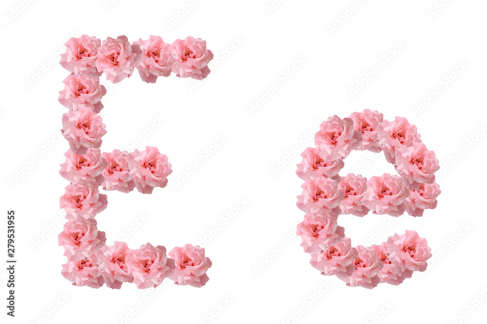 English alphabet from flowers of pink roses, letter E, collage.