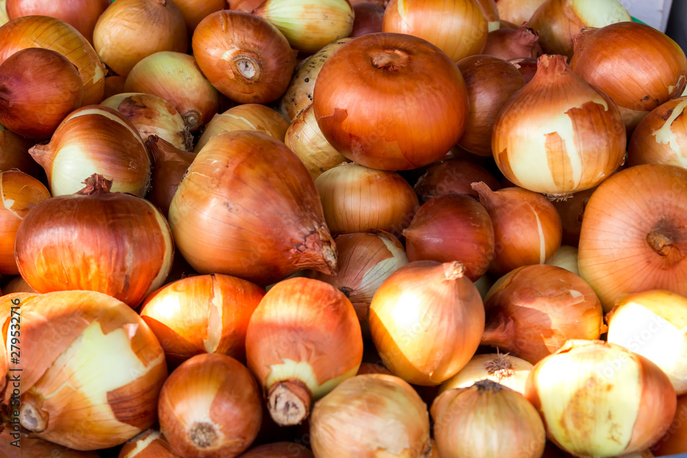 Bow background. Fresh golden onions. Ripe onions Onions at the market