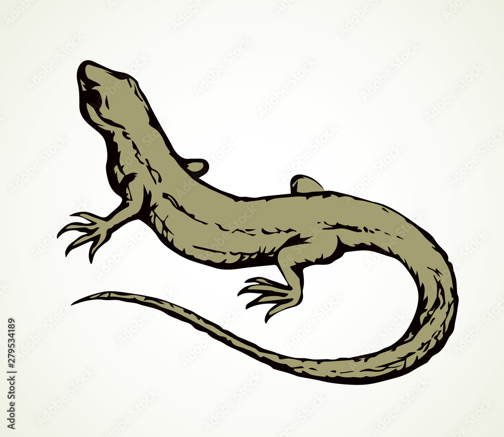 Fototapeta premium Little lizard. Vector drawing icon