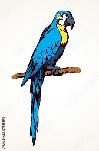 Parrot bird icon. Vector drawing
