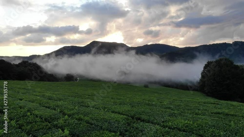 Amazing inspirational epic drone footage. Clouds of mist float over tea plantations against the backdrop of a magnificent sunset.
