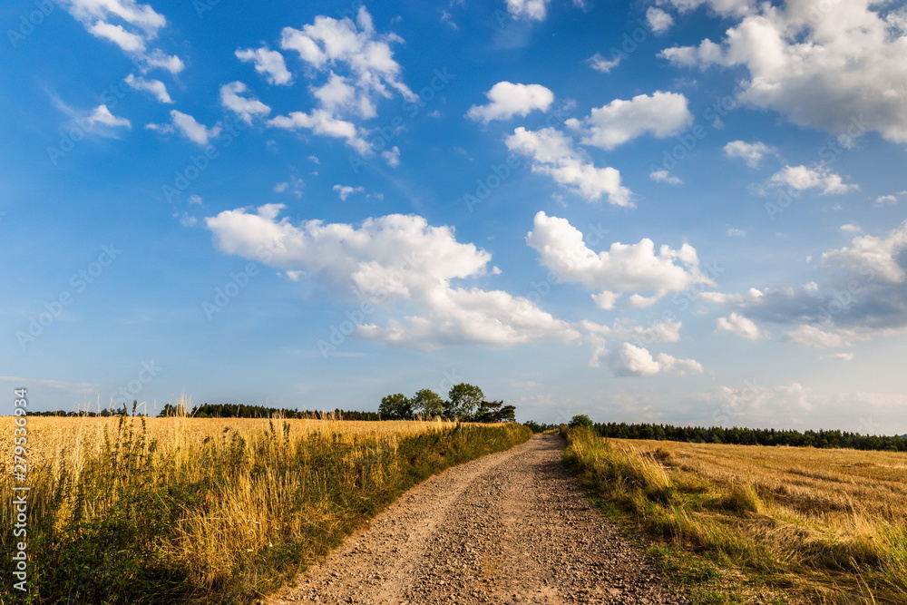 Road through the field and clouds on blue sky in summer day Road through the field and clouds on blue sky in summer day