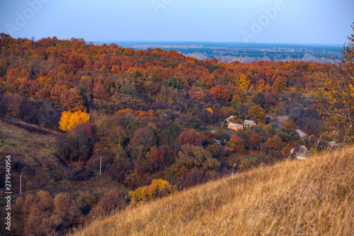 Rural autumn landscape with hills on which trees grow
