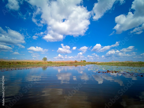 Fototapeta Naklejka Na Ścianę i Meble -  Danube Delta landscape water lilies and reeds