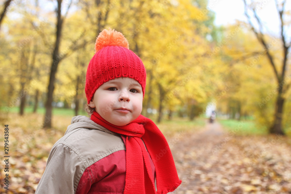 Children are walking in nature. Twilight kids are walking around the park. Brother with sister in autumn city park in leaf fall. Children are walking in nature. Twilight kids are walking around the park. Brother with sister in autumn city park in leaf fall.