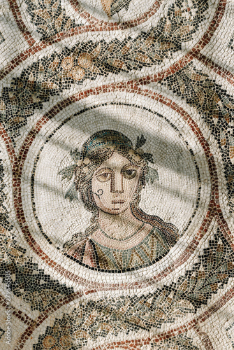 Roman mosaic, Archaeological museum, El Jem, Tunisia