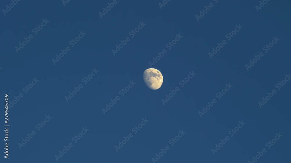 Bright full moon against the blue sky. Dark birds swallows fly. Silhouettes on the background. Summer day. Bright full moon against the blue sky. Dark birds swallows fly. Silhouettes on the background. Summer day.
