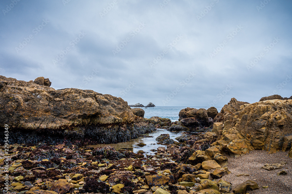 Tidepool area of Point Lobos State Natural Reserve on the California coast.