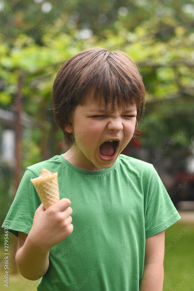 Angry boy. Little boy eating ice cream. Boy screams and eats ice cream Angry boy. Little boy eating ice cream. Boy screams and eats ice cream
