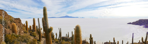 View from Isla Incahuasi on Salar de Uyuni, Altiplano, Salar de Uyuni, Bolivia