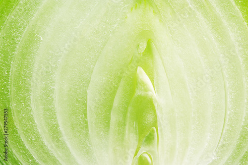 onions macro in the context / background photos by mark texture