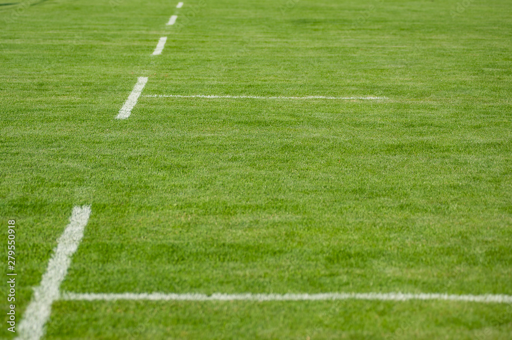 Lawn. Limit lines of a sports grass field with selective focus Lawn. Limit lines of a sports grass field with selective focus