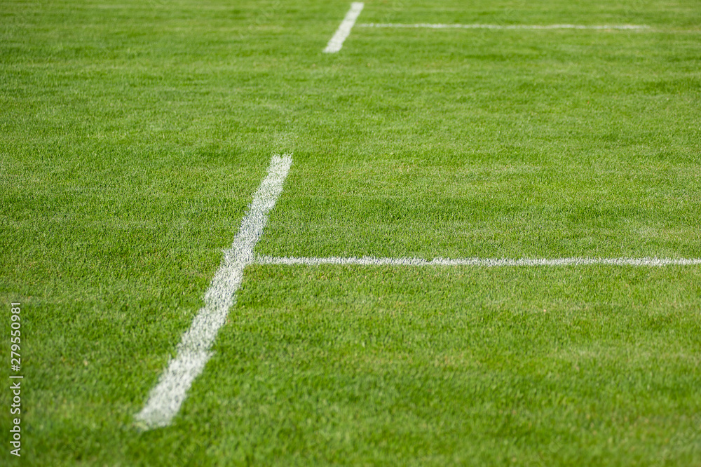 Obraz premium Lawn. Limit lines of a sports grass field with selective focus