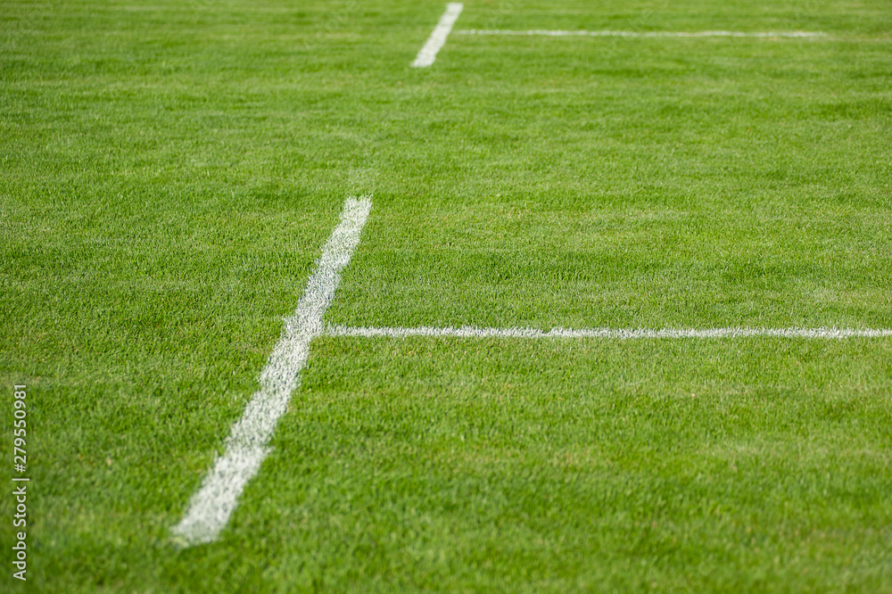 Lawn. Limit lines of a sports grass field with selective focus