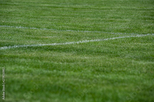 Lawn. Limit lines of a sports grass field with selective focus