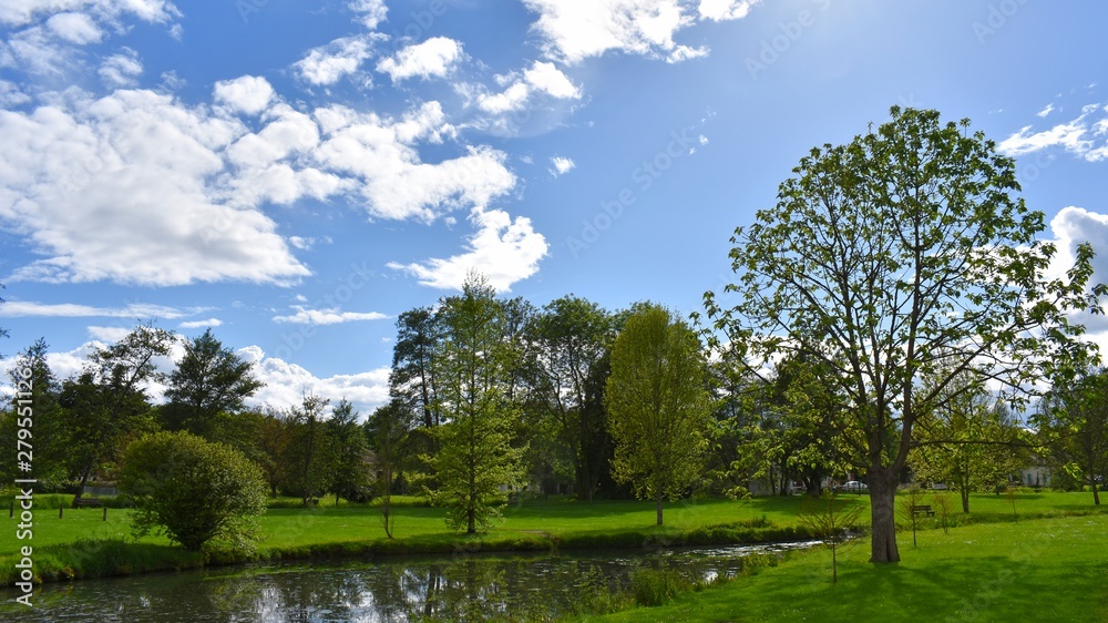 Fototapeta premium Sunny day in a park