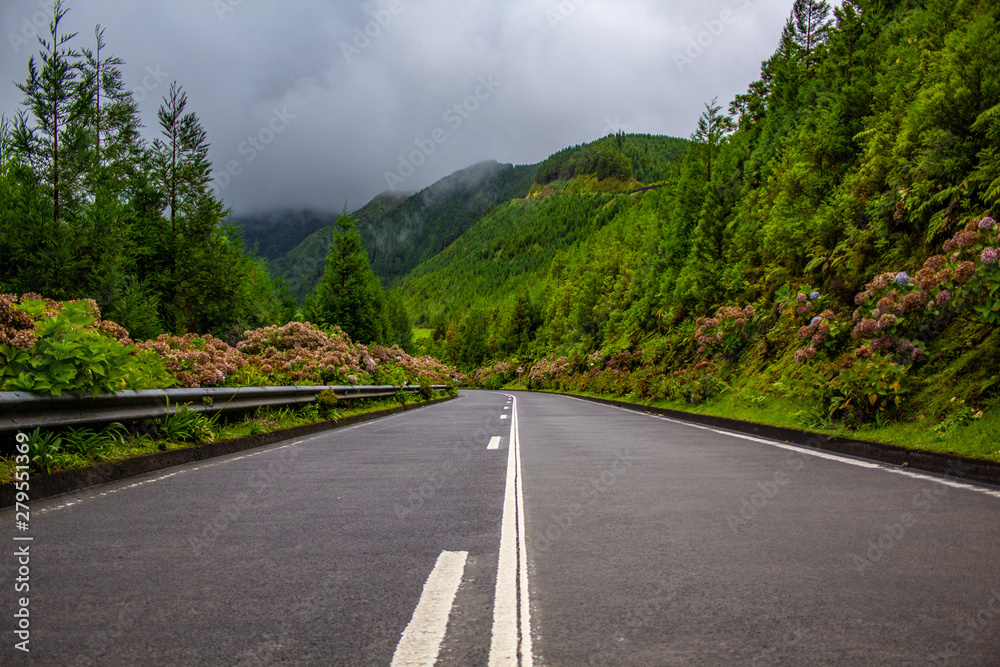 road surrounded by green vegetation on Sao Miguel Island, Azores, Portugal road surrounded by green vegetation on Sao Miguel Island, Azores, Portugal