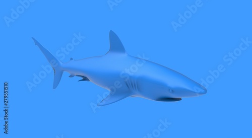 Black Shark on Blue Background 3D Rendering