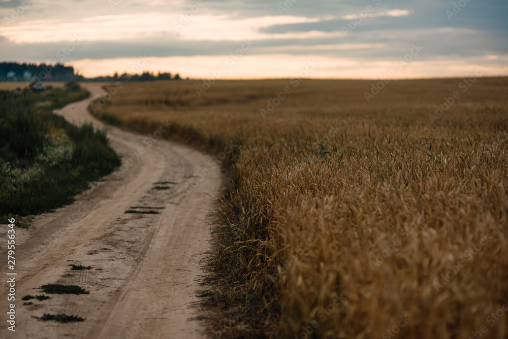 empty road going off into the distance