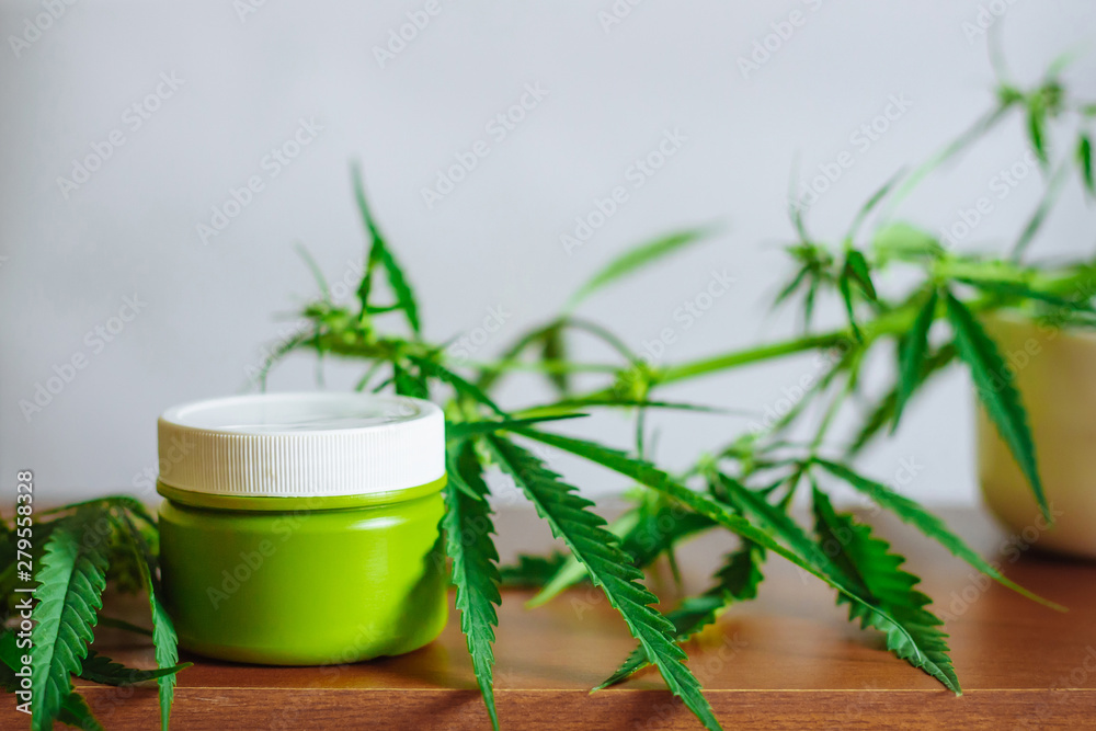 Cannabis hemp cream background with marijuana leaf - cannabis concept self care in of health care. Cosmetics with hemp extract on table. Herbal organic medicine CBD product
