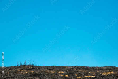 Prescribed Grass Fire and Blue Sky Background Template