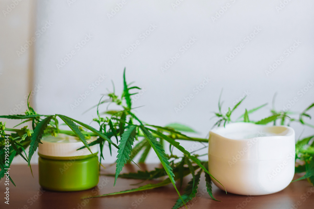 Cannabis hemp cream background with marijuana leaf - cannabis concept self care in of health care. Cosmetics with hemp extract on table. Herbal organic medicine CBD product Cannabis hemp cream background with marijuana leaf - cannabis concept self care in of health care. Cosmetics with hemp extract on table. Herbal organic medicine CBD product