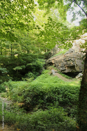 Nature Taking Back the Stone Ruins