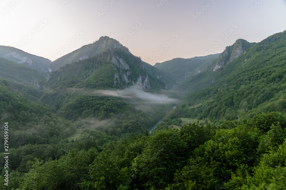 Montenegro, Sinjajevina, Tara Valley at morning time Montenegro, Sinjajevina, Tara Valley at morning time