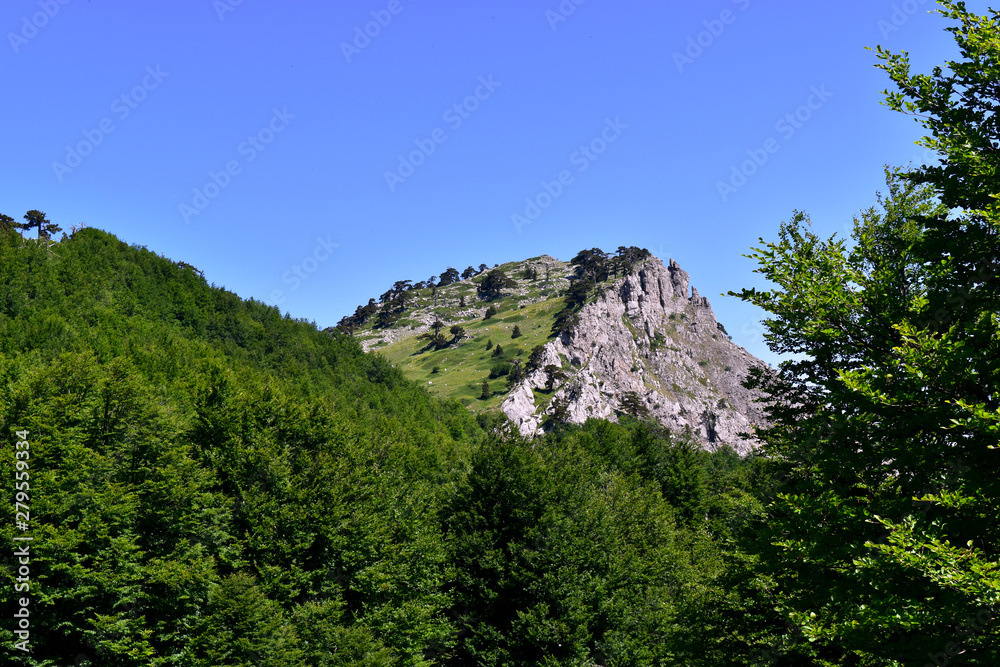 Pollino Pollino