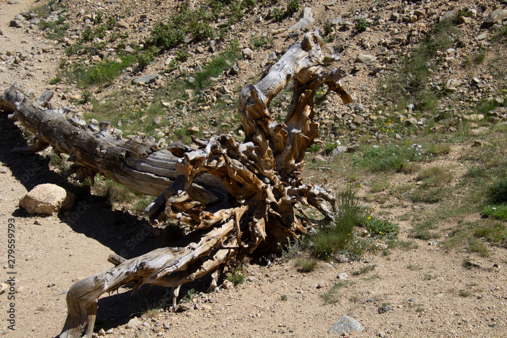 St. Mary's Glacier hike 07/2019 St. Mary's Glacier hike 07/2019