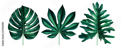 Set of exotic tropical leaves isolated on white. Watercolor illustration.