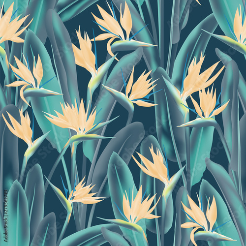 Strelitzia reginae tropical flower vector seamless pattern. Jungle plant paradise tropical summer fabric design. South African plant tropical blossom of crane flower, strelitzia. Floral wallpaper.