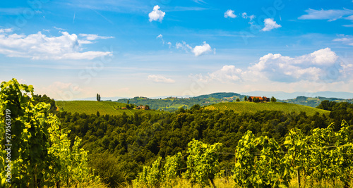 Vineyards in south styria in Austria. Landscape of Leibnitz area from Kogelberg.