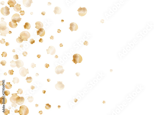 Gold seashells vector, golden pearl bivalved mollusks