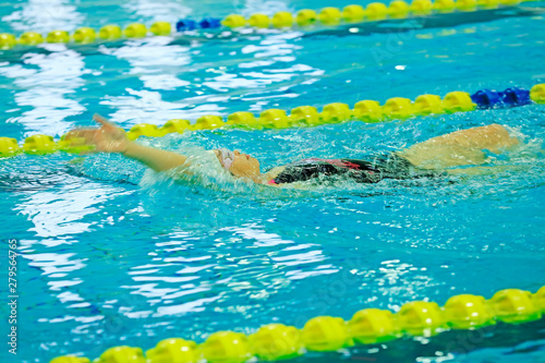 backswimmers in the swimming pool photo