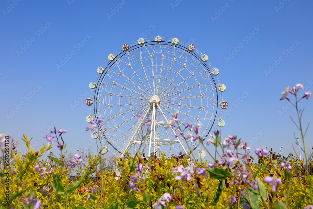 Fototapeta premium Ferris wheel in amusement park