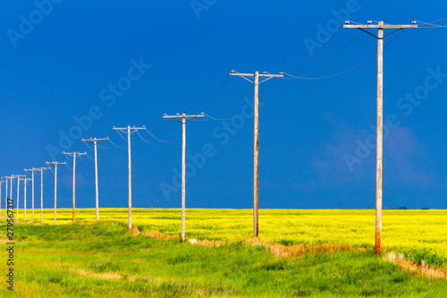 Photography Wood Telephone Poles Canadian Prairies