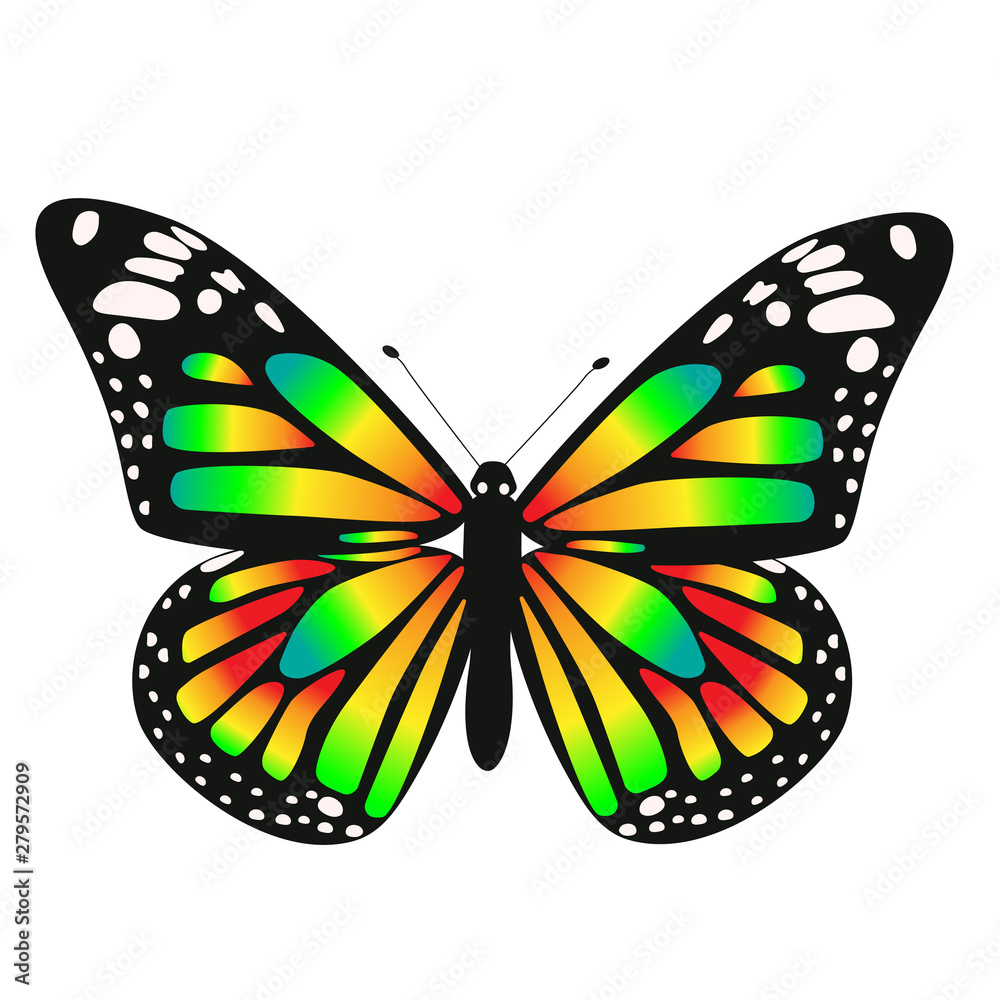 One toxic gradient butterfly. Vector graphics isolated on white background. One toxic gradient butterfly. Vector graphics isolated on white background.