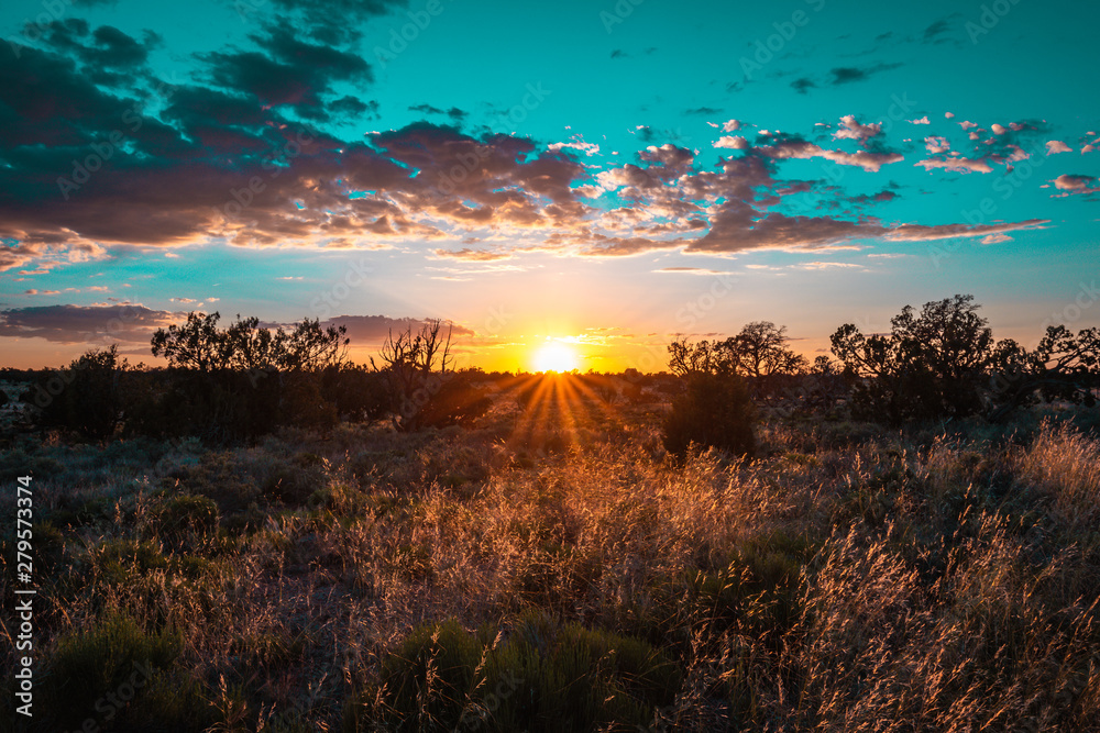 Naklejka premium sunset over bush