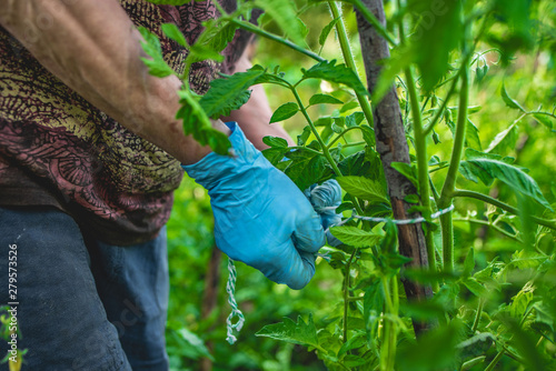 women working in agriculture