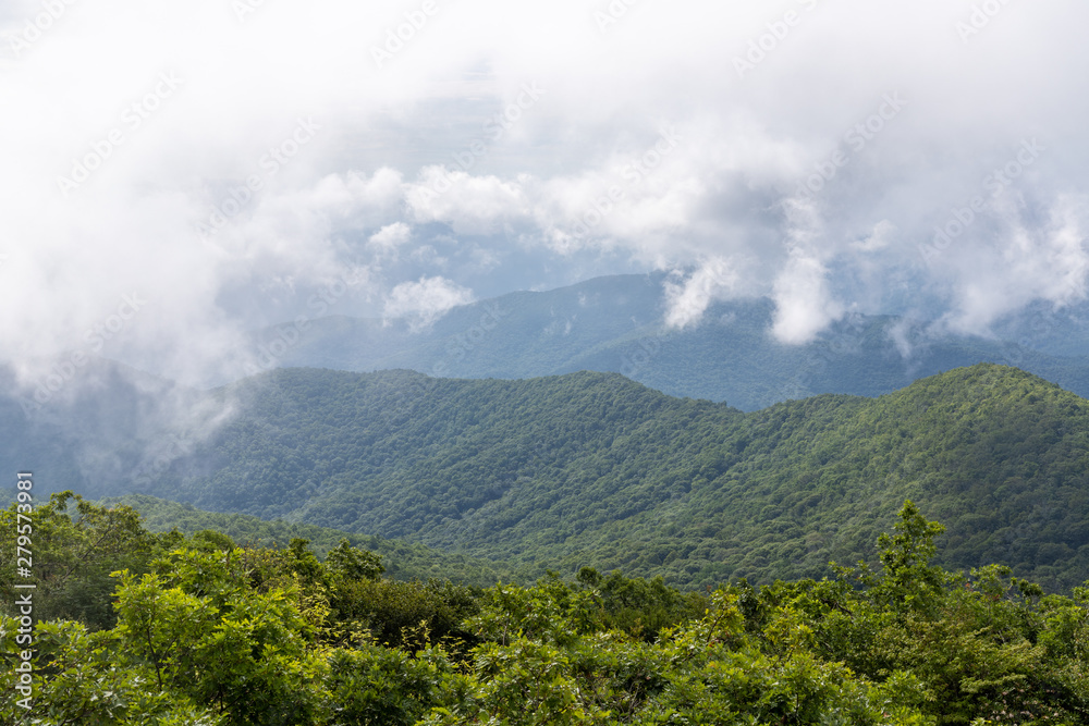 Foggy View from Brasstown Bald, Georgia