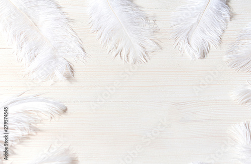 fluffy white ostrich feathers lined with circle on white wooden background photo