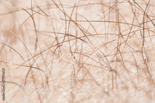 Hair with skin on the human leg close-up, macro