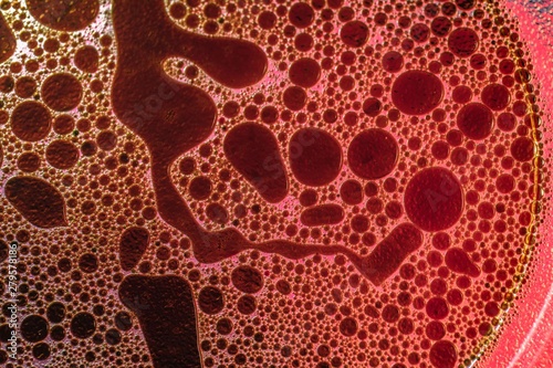 bubble