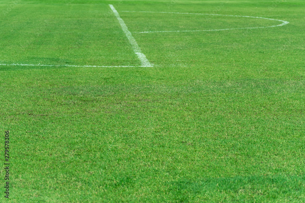 Obraz premium green natural grass football or soccer field with white curve and straight line sport background