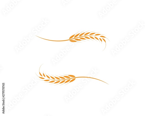 Agriculture wheat Logo Template vector icon design 
