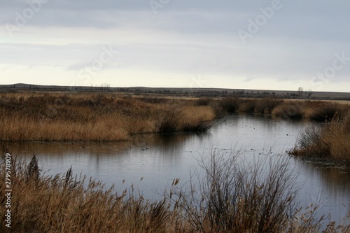 autumn lake view with clear water reflection