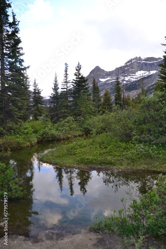 A Stream at Bow Lake