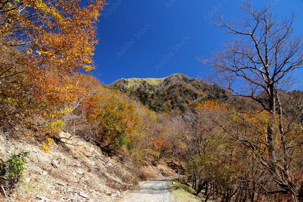 剣山系、次郎岌の秋 剣山系、次郎岌の秋