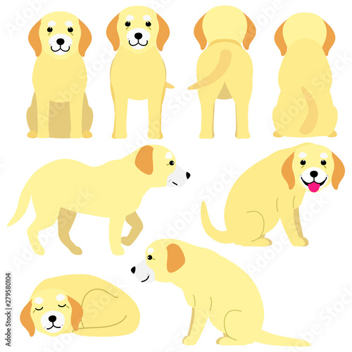 old dog postures set
